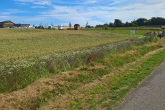 mohnbluetenwanderung_4_20160801_1637646614