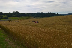 mohnbluetenwanderung_5_20160801_1437387521