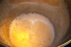 bierbrauen_2_20180715_2002593331