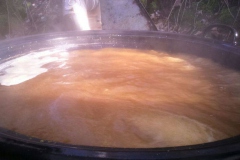 bierbrauen_3_20180715_1072247925