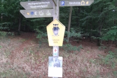 1599387534365