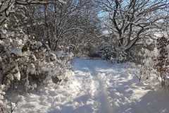 1c0a19db-4b4f-494b-9a98-1ab8548ef20a