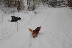 20210208_130919