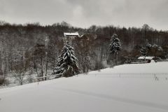 20210208_121150