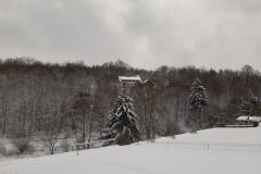 20210208_121152